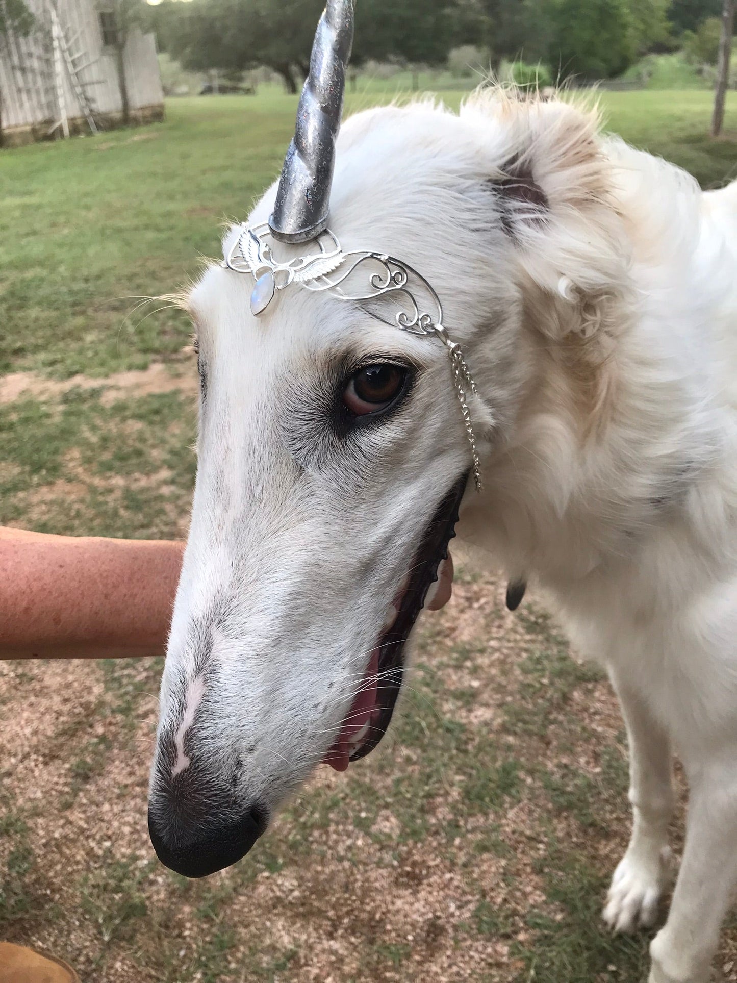 Unicorn Horn - Silver Rainbow Liquid Fire Mantra