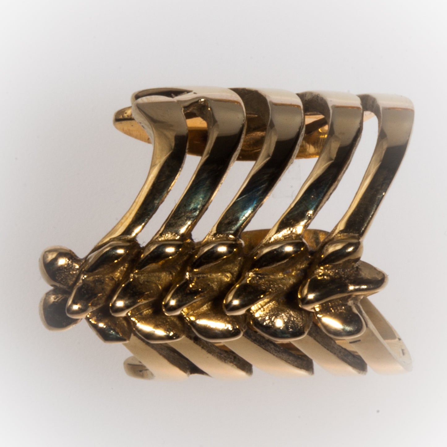 vertebrae ring