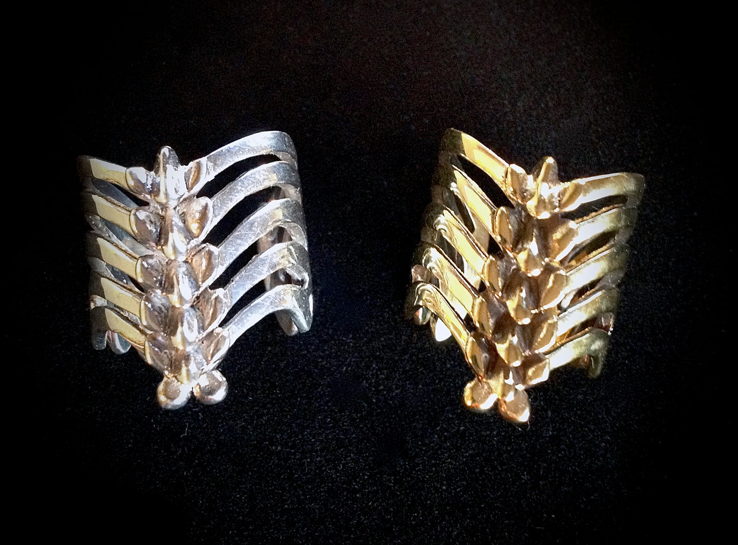 vertebrae ring