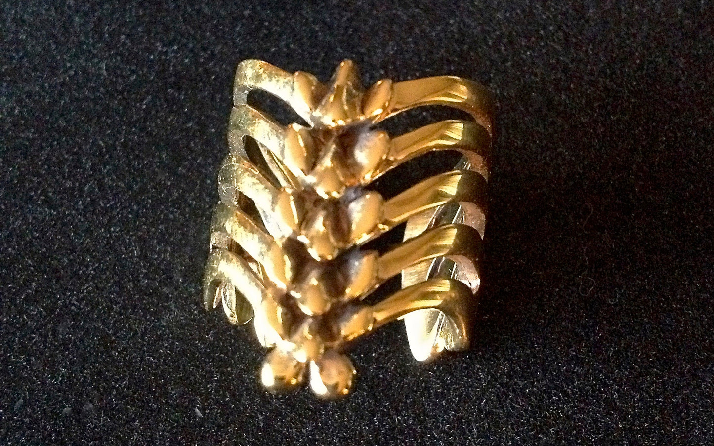 Vertebrae Ring Liquid Fire Mantra