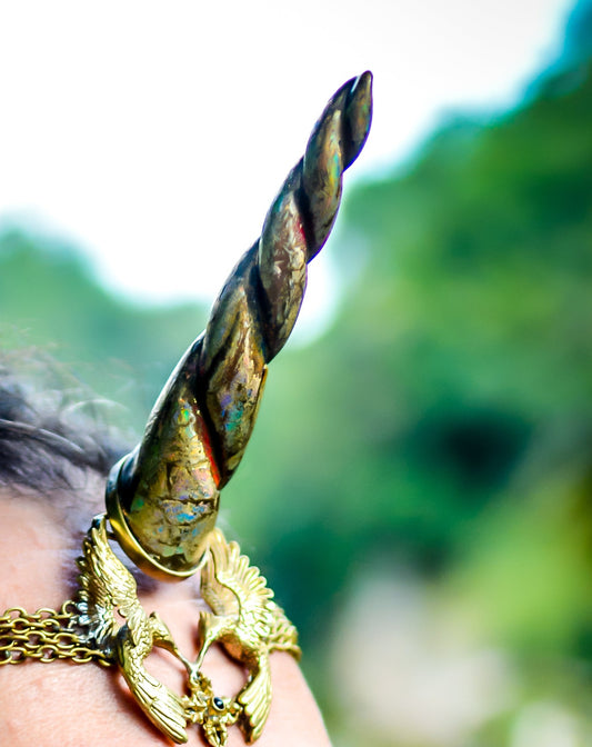 unicorn horn gold rainbow