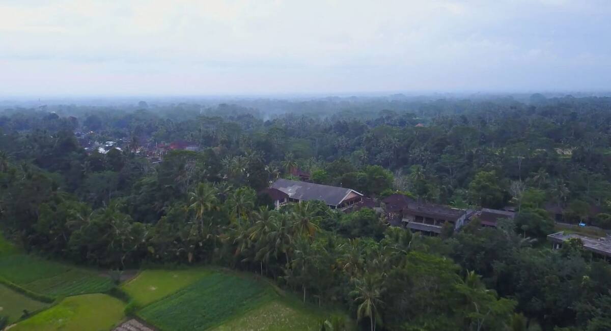 Private Bedroom - 1 Person - 1 Month - Bali Flow Temple Artist Residency