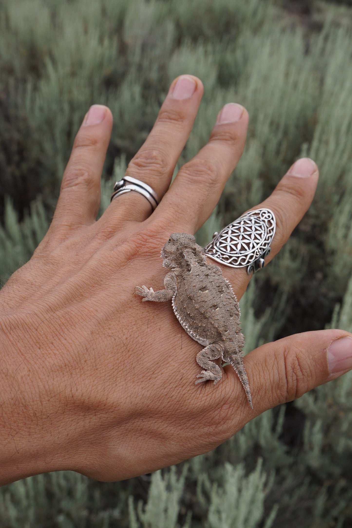 Snake Infinity Ring - Sterling Silver / 18K Gold Lay Liquid Fire Mantra