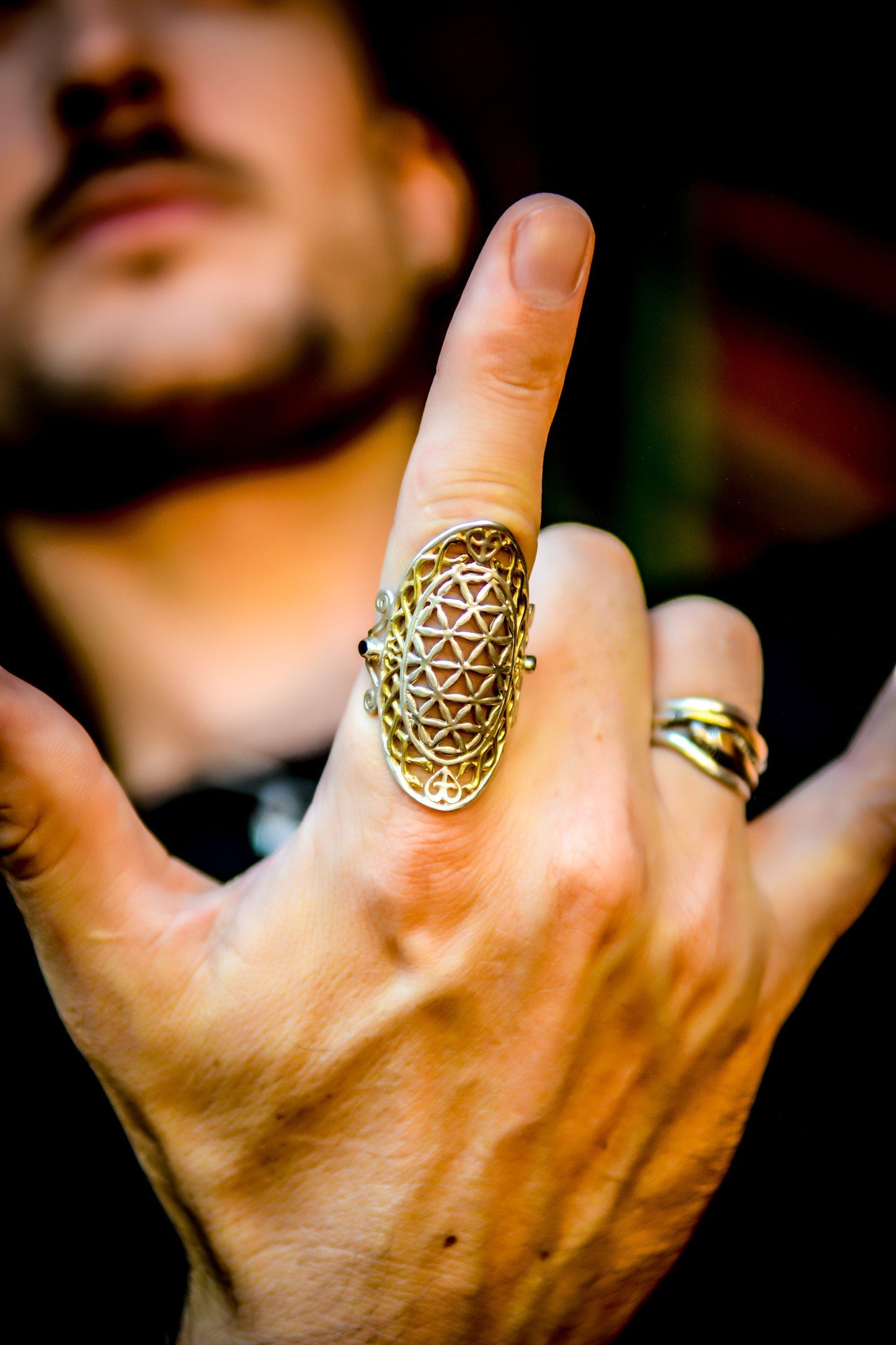 Snake Infinity Ring - Sterling Silver / 18K Gold Lay Liquid Fire Mantra